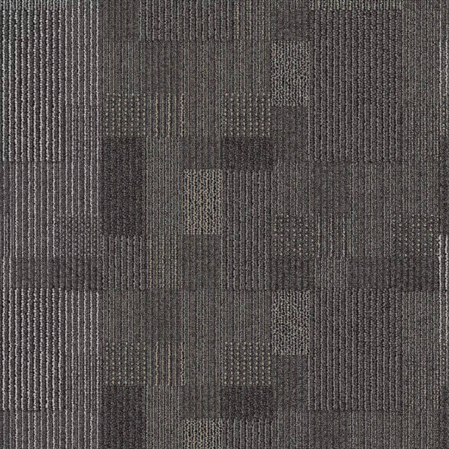 Renewed Path